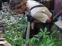 Príprava šindľov pre 