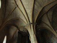 Klenebné polia v Žehre